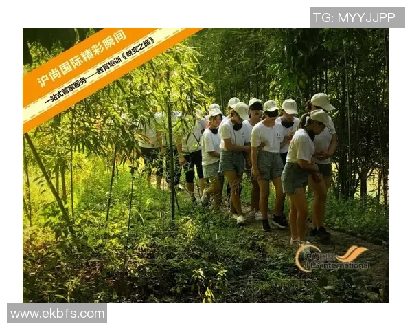 深圳排球队的蜕变之旅：从低谷到辉煌的奋斗故事