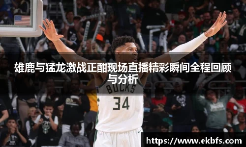 雄鹿与猛龙激战正酣现场直播精彩瞬间全程回顾与分析