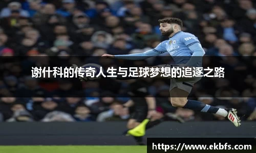 杏宇官方网站